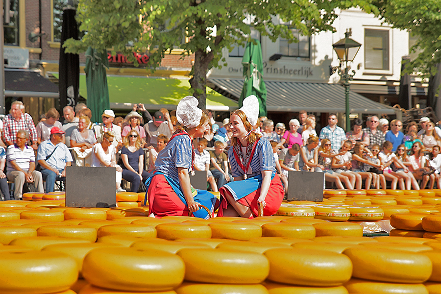 Käsemarkt in Alkmaar