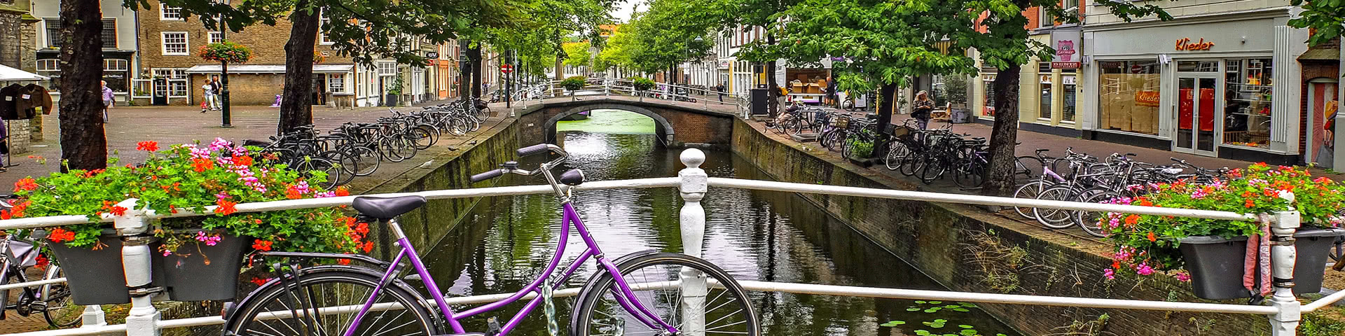 Lila Fahhrad auf einer Brücke in der Altstadt von Delft