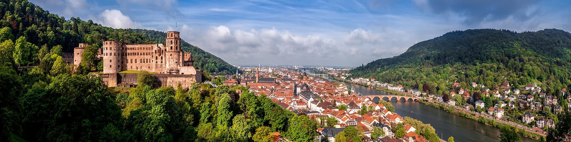 Blick auf das Schloss, die Altstadt und den Neckar in Heidelberg