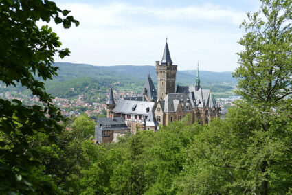 Blick auf den Wernigeröder Schloss